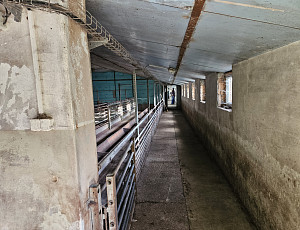 Bourací práce na hale chovu prasnic